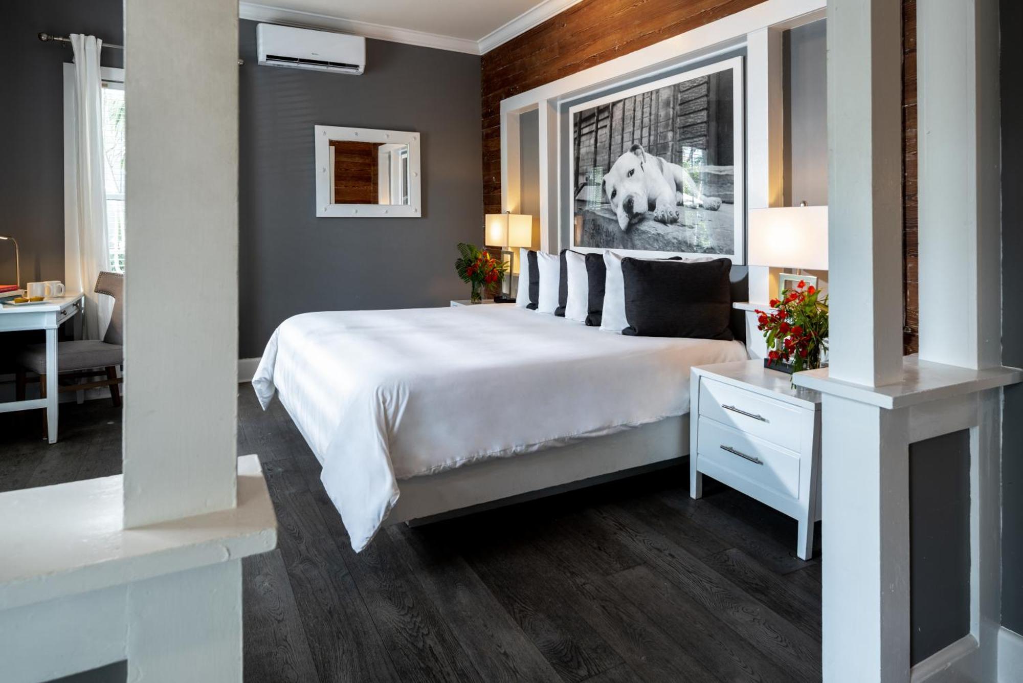 Alexander'S Guesthouse-Adult Exclusive, Lgbtq Friendly คีย์เวสต์ ห้อง รูปภาพ
