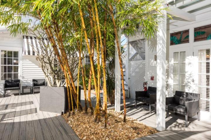 Alexander'S Guesthouse-Adult Exclusive, Lgbtq Friendly คีย์เวสต์ ห้อง รูปภาพ